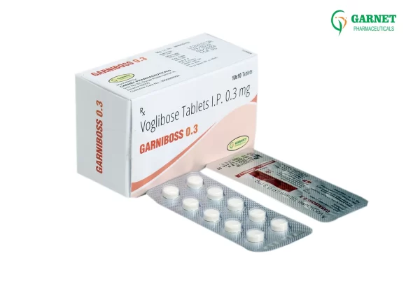 Garniboss 0.3
